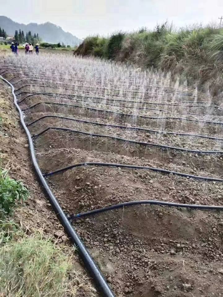 大田微喷带